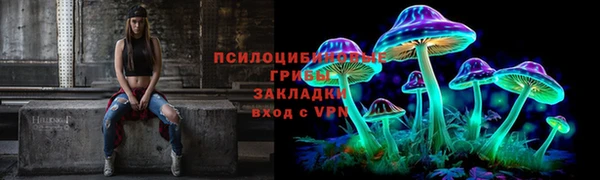 дживик Алексин