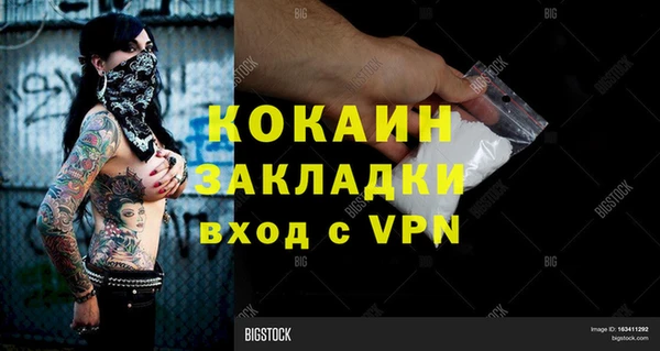 дживик Алексин