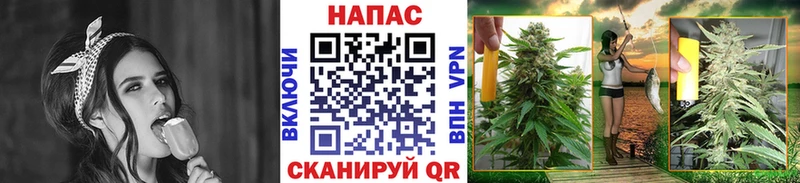 Конопля тримм  Белореченск 